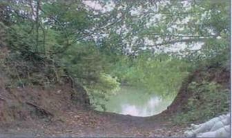 Foto de inmueble en  , Col. Cabo Rojo (Novillos) [Ganadera] C.P. 92040, Tampico Alto